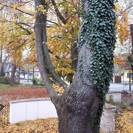 Cafe Hehrlich - Cafe, Pension & Mehr Bad Tennstedt Dış mekan fotoğraf